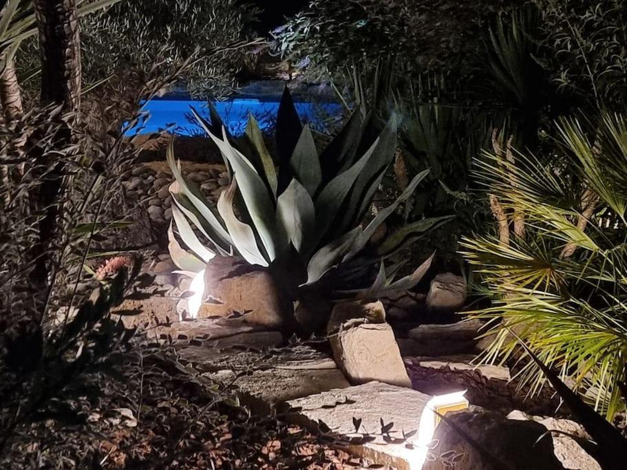 Oasis Au Pays De Cezanne