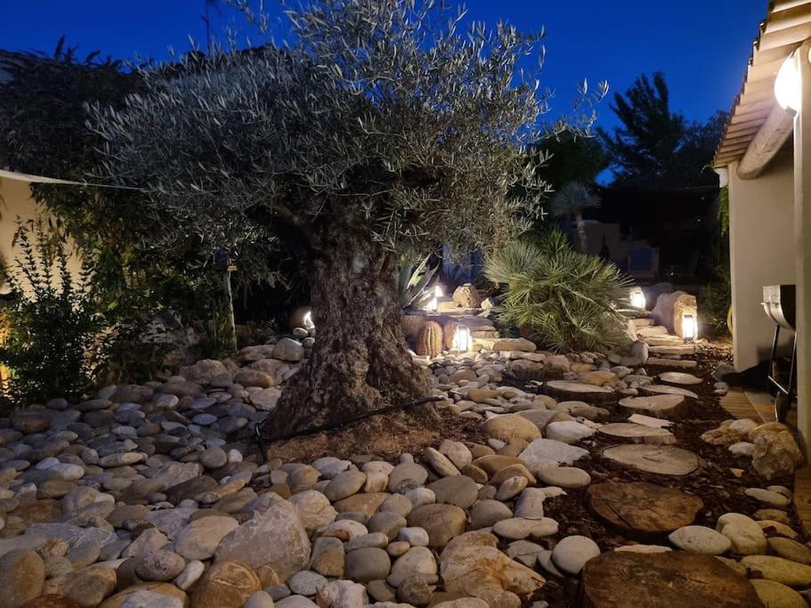 Villa Oasis Au Pays De Cezanne